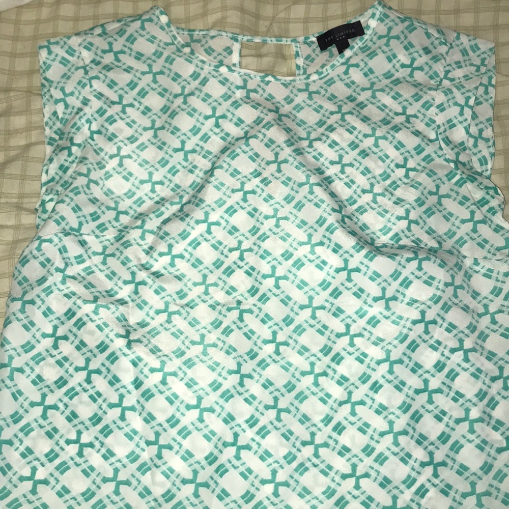 The Limited Blouse